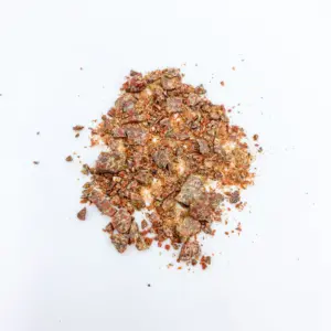 Fossilized Dinosaur Bone Fragments